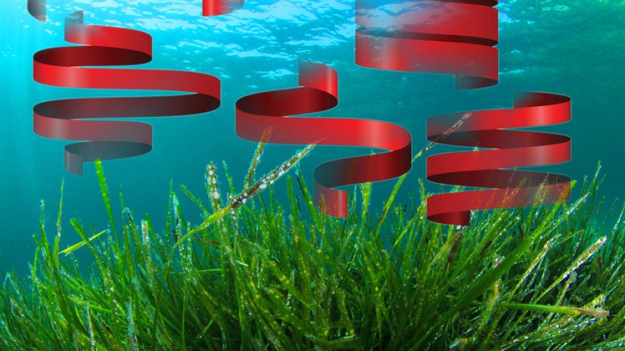 Πώς εξαπατά μία Τράπεζα πουλώντας Φύκια για Ομόλογα;