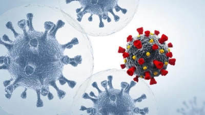 Κολχικίνη: O νέος μας σύμμαχος κατά της νόσου του κορωνοϊού