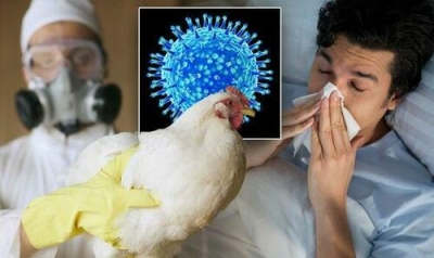 ΗΠΑ: Γεγονός το πρώτο κρούσμα γρίπης των πτηνών στον άνθρωπο - «Μπορεί να γίνει καταστροφική»