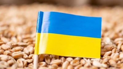 Η Ουκρανική Ένωση Σιτηρών ανέφερε ότι απαγορεύθηκε η είσοδος πλοίων στα λιμάνια της Οδησσού