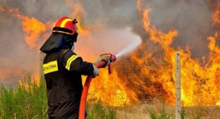 Λακωνία: Πυρκαγιά σε δασική περιοχή στο Γεράκι του Δήμου Ευρώτα