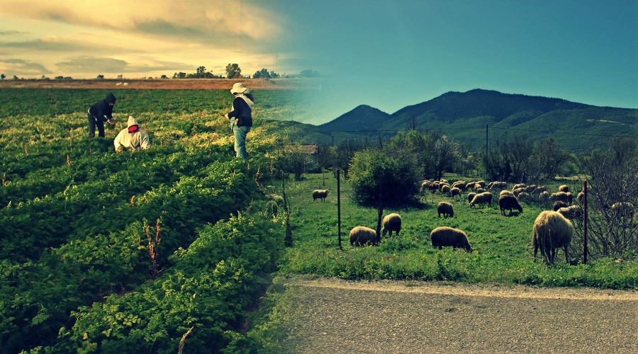 Γεωπολιτικές εντάσεις και κλιματική αλλαγή επηρεάζουν τον αγροτικό τομέα της ΕΕ - Πολιτικές, προτεραιότητες, τα σημαντικά σημεία για Ελλάδα