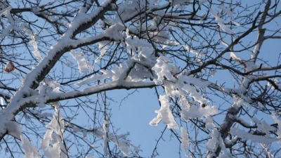 Χιονοπτώσεις στη Σαμοθράκη: Κλειστά στις 9-10/1 τα σχολεία - Ανοιχτό το οδικό δίκτυο