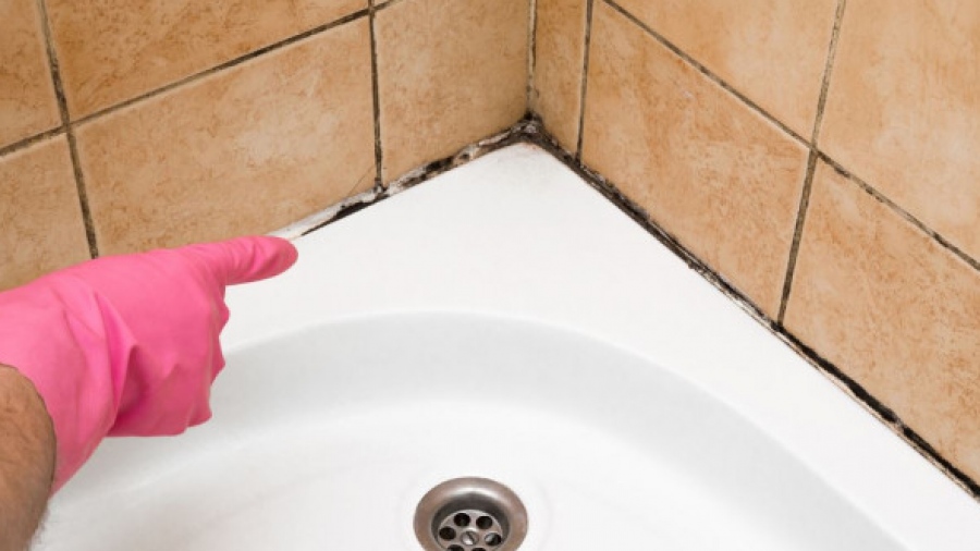 Μούχλα στο μπάνιο - Ένα απλό κόλπο που δίνει τη λύση