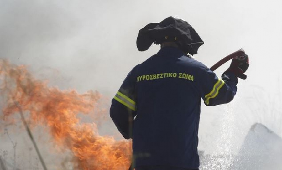 Συναργερμός στην Πυροσβεστική - Πυρκαγιά σε καταυλισμό εργατών γης στη Νέα Μανωλάδα Ηλείας