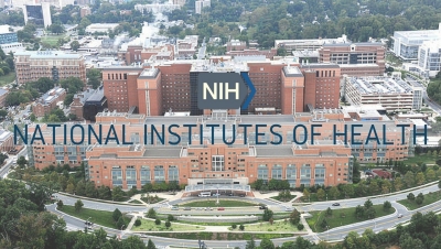 Εθνικό Ινστιτούτο Υγείας ΗΠΑ: H covid -19 εξαπλώνεται σε καρδιά και εγκέφαλο - Επιβιώνει για μήνες