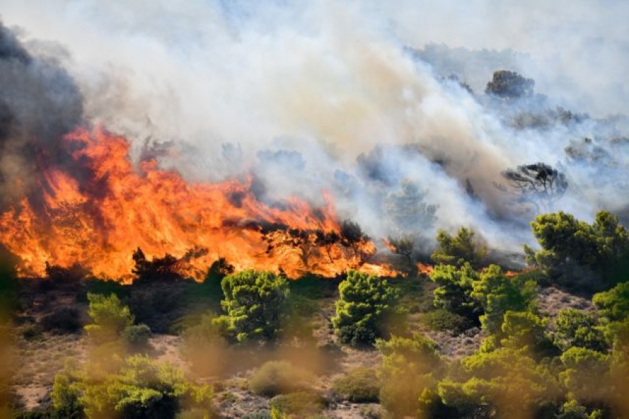 Υπό μερικό έλεγχο τέθηκε η πυρκαγιά σε δασική έκταση στην Κερατέα