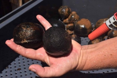 Οι ΗΠΑ έχουν σκεφτεί κάτι άλλο για το οποίο μπορούν να αναγκάσουν τους συμμάχους τους να πληρώσουν...