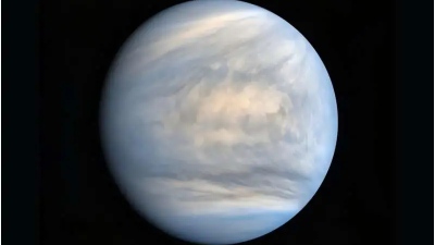 Ανακαλύφθηκε ζωή στην Αφροδίτη… Το συγκλονιστικό μυστικό της πανσπερμίας