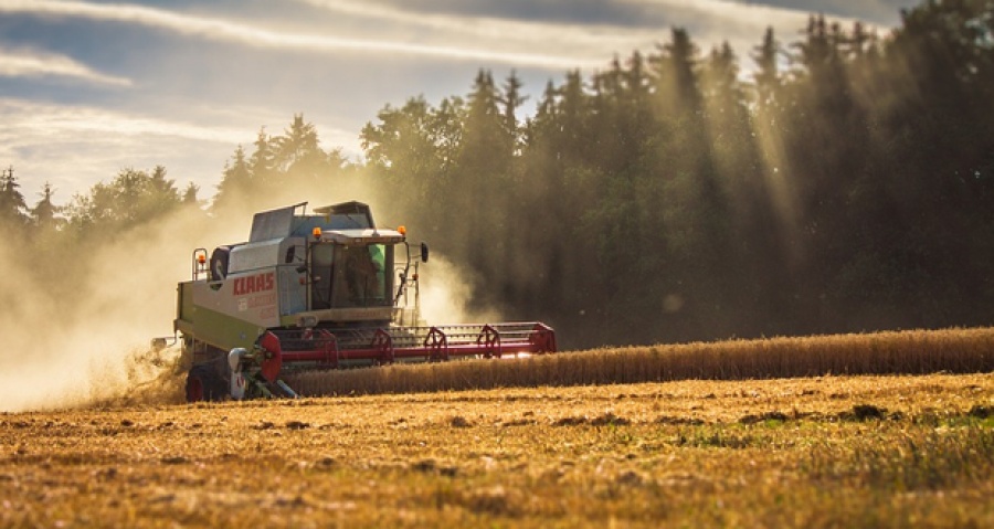 Πτώση 4,5% του δείκτη τιμών εκροών στη γεωργία τον Μάρτιο του 2020