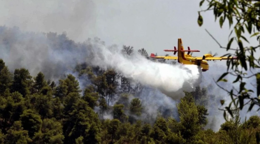Φωτιά στη Βοιωτία - Καίει αγροτοδασική έκταση