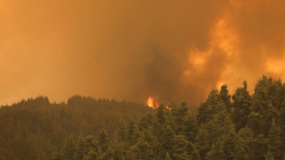 Τρεις συλλήψεις στην Κρήτη για την πρόκληση πυρκαγιών
