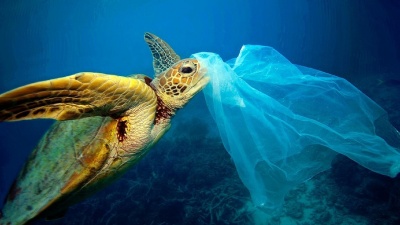 Έρευνα: Πλαστικά σκουπίδια 80.000 μετρικών τόνων κείτονται στον Ειρηνικό Ωκεανό