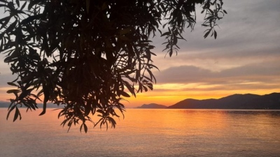 1ο Rovies Food Fest: Όταν οι γεύσεις αφηγούνται ιστορίες