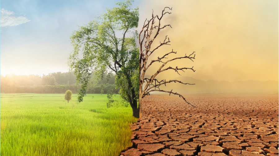 Η Κλιματική Αλλαγή είναι υπόθεση όλων μας!