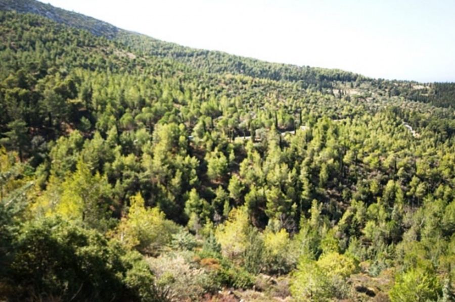 Επί τάπητος στο ΥΠΕΝ τα αναξιοποίητα κοινοτικά κονδύλια για τα δάση