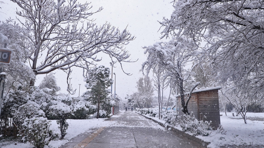 Κακοκαιρία «Ελπίς»: Ισχυρές χιονοπτώσεις σε Αργολίδα, Αρκαδία και Λακωνία - Πού χρειάζονται αντιολισθητικές αλυσίδες
