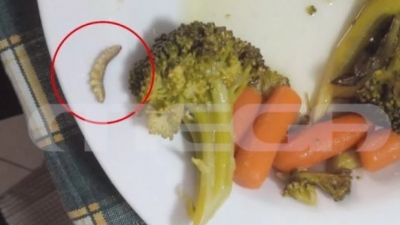 Μια λέξη: Φρίκη - Αλλοιωμένα σχολικά γεύματα στη Λαμία - Κοτόπουλο με πούπουλα και λαχανικά με σκουλήκια