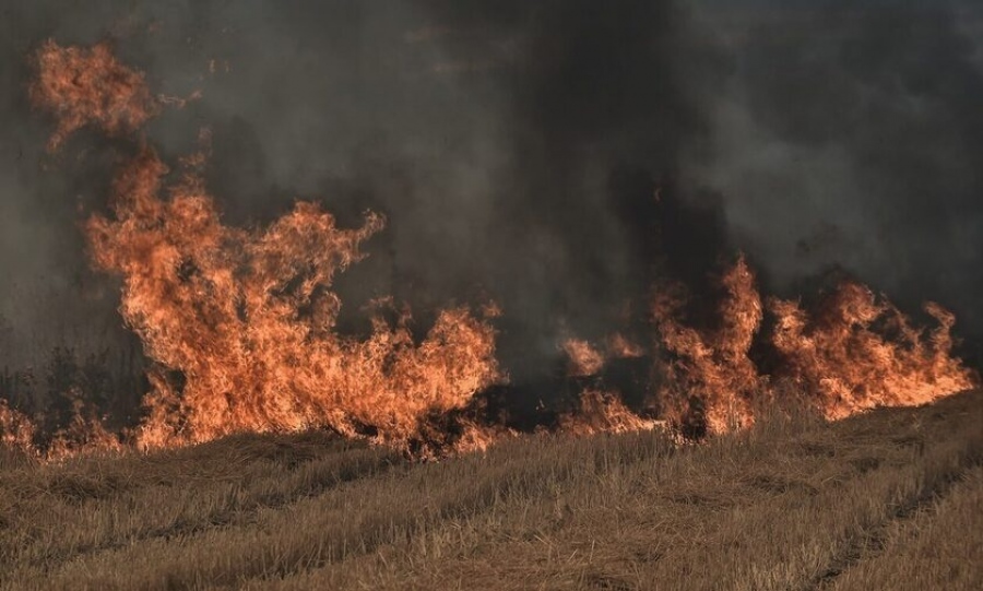Σε ύφεση η πυρκαγιά στον Λαχανά Θεσσαλονίκης – Συνεχίζεται η μάχη των πυροσβεστών