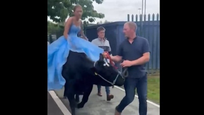 Βρετανίδα πηγαίνει στο χορό αποφοίτησης πάνω σε... αγελάδα (vid)