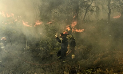 Ξέσπασε πυρκαγιά σε δασική έκταση στους Δελφούς – Μάχη της πυροσβεστικής με τις φλόγες