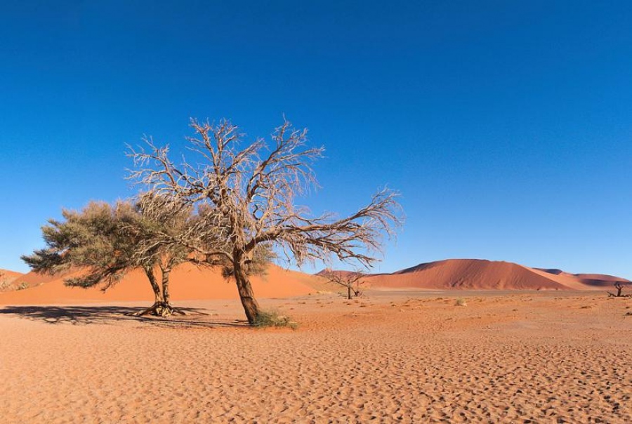 Τίποτα δεν μένει για πάντα, ούτε καν η έρημος: Μια απίθανη λίμνη γεννιέται στη Σαχάρα: Θυμήθηκε ότι κάποτε ήταν... παράδεισος