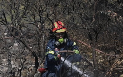 Αλεξανδρούπολη: Φωτιά τώρα σε δρυοδάσος του δήμου Σουφλίου