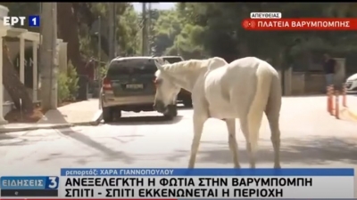 Άλογα έφτασαν στην πλατεία της Βαρυμπόμπης για να ξεφύγουν από τη φωτιά