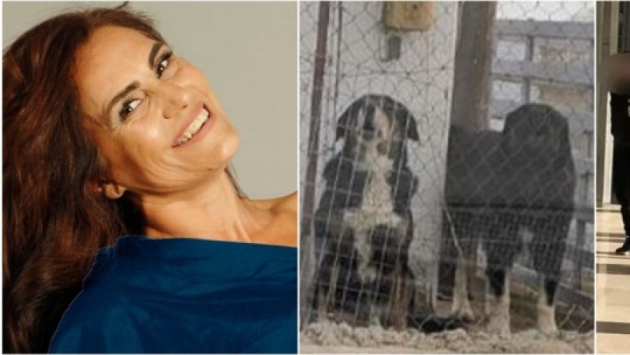 Θεσσαλονίκη: Προφυλακίστηκε ο ιδιοκτήτης των τριών σκυλιών που κατασπάραξαν την 50χρονη