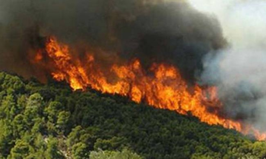 Ανεξέλεγκτη παραμένει η φωτιά στη Σάμο - Καίει δασική έκταση