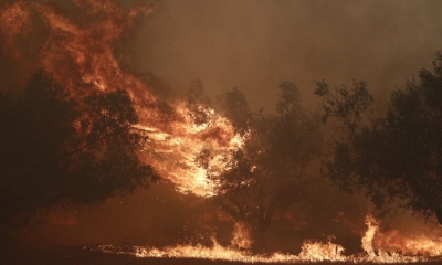 Καταστροφή – Έφτασε στον Εθνικό Δρυμό της Πάρνηθας η πύρινη λαίλαπα, συνεχείς ρίψεις νερού από τα εναέρια μέσα