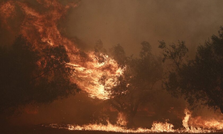 Καταστροφή – Έφτασε στον Εθνικό Δρυμό της Πάρνηθας η πύρινη λαίλαπα, συνεχείς ρίψεις νερού από τα εναέρια μέσα