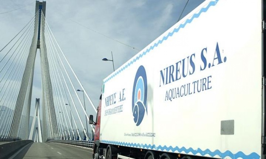 Το δάνειο της Νηρέας, οι τράπεζες και ο τελικός επενδυτής