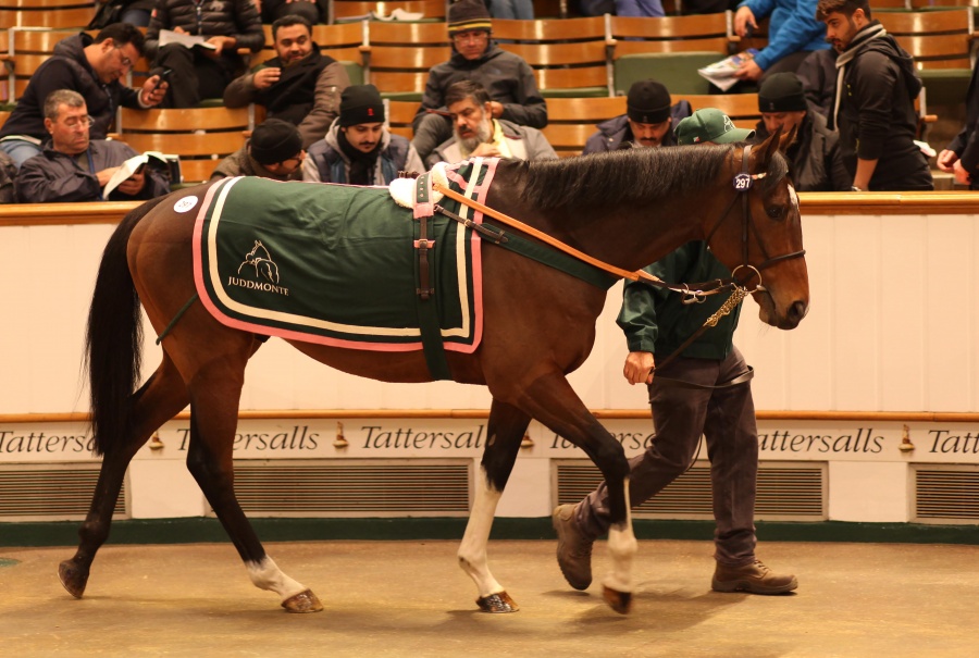 Δυναμική παρουσία Ελλήνων επενδυτών στη δημοπρασία του οίκου Τattersalls - Αγορές-ρεκόρ 68 καθαρόαιμων ίππων