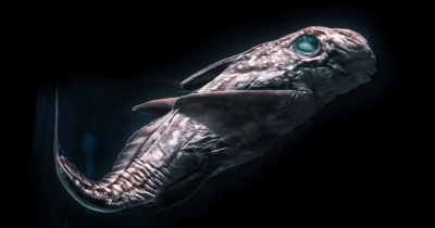 Νέα ανακάλυψη στην Ανταρκτική! - 780.000 χρόνια ήταν κρυμμένο κάτω από τον πάγο