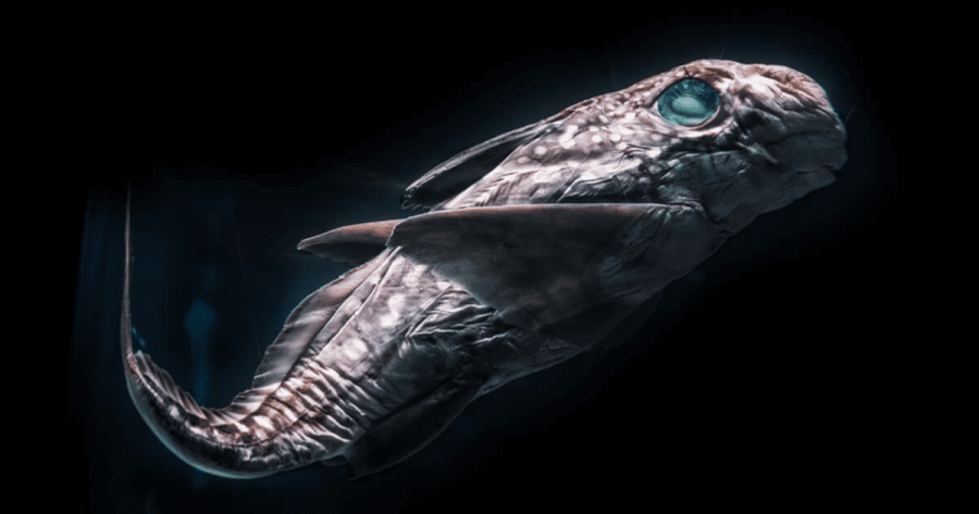 Νέα ανακάλυψη στην Ανταρκτική! - 780.000 χρόνια ήταν κρυμμένο κάτω από τον πάγο