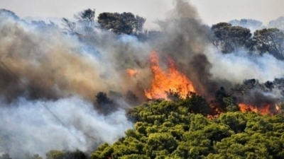 Μεγάλη πυρκαγιά σε δασική έκταση στα Μέθανα αναγκάζει την πυροσβεστική να ενισχύσει τις δυνάμεις της