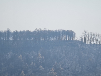 Οι εχθροί εντός των πυλών και οι καταστροφικές πυρκαγιές – Τι συμβαίνει με τα αιολικά πάρκα;