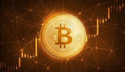 Αναζητείται σκληρός δίσκος που πετάχτηκε το καλοκαίρι 2013 και περιέχει Βitcoin αξίας πάνω από 225 εκατ.