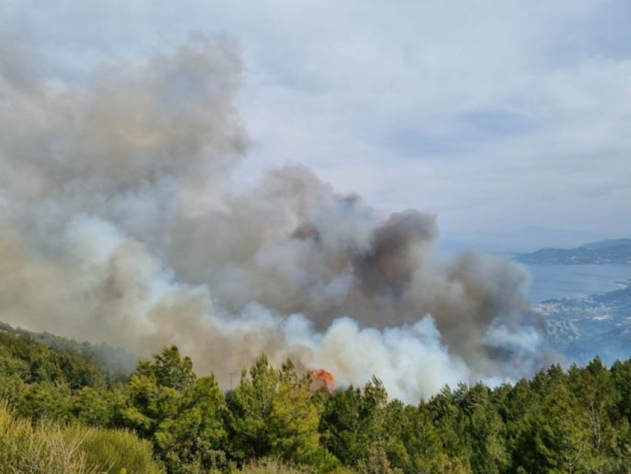 Μεγάλη φωτιά στη Σάμο: Εκκενώνεται προληπτικά το χωριό Βουρλιώτες