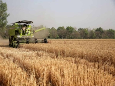 Παγκόσμιο σοκ στις τιμές σιτηρών μετά την απαγόρευση εξαγωγών 10 εκατ. τόνων από την Ινδία - Έρχεται επισιτιστική κρίση
