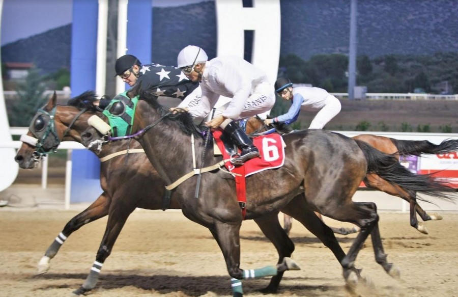 Markopoulo Park: Δέκα καθαρόαιμοι ίπποι διεκδικούν το Κύπελλο Ηνιόχου