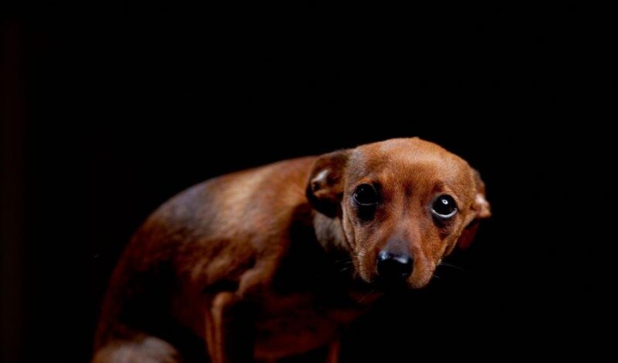 Lockdown: Το μεγαλύτερο έγκλημα κατά της ελευθερίας – Πώς η «επιστήμη» έγινε το άλλοθι για μια παγκόσμια καταστολή