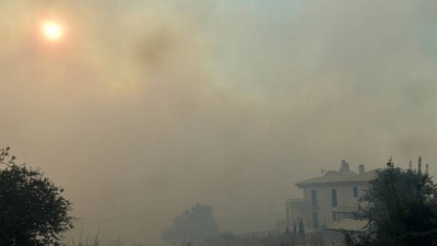 Πυρκαγιά στην Εύβοια - 