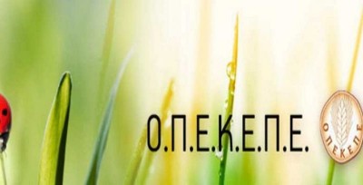 ΟΠΕΚΕΠΕ: Πιστώνονται ενισχύσεις ύψους σχεδόν 5,6 εκατ. ευρώ σε 57.857 δικαιούχους