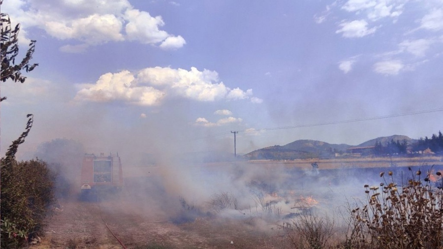 Ακαθάριστα οικόπεδα: Η ΠΟΜΙΔΑ ζητά παράταση έως τις 30 Ιουνίου 2025