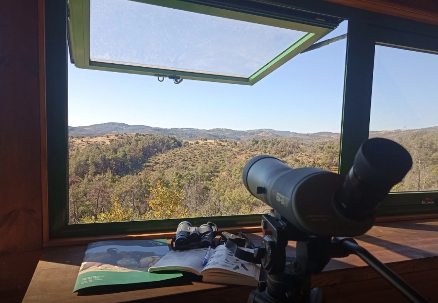 Το Εθνικό Πάρκο Δάσους Δαδιάς ανοίγει ξανά τις πύλες του μετά την πύρινη λαίλαπα