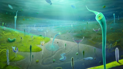 Ανατροπή στην ιστορία της ζωής - Η «έκρηξη» των ζώων ξεκίνησε εκατομμύρια χρόνια νωρίτερα απ' ότι πιστεύαμε