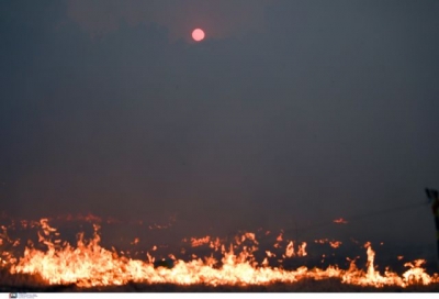 Τα ξενοδοχεία της Αττικής ανοίγουν για τους πυρόπληκτους