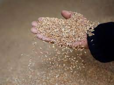 Επιδείνωση της επισιτιστικής κρίσης:  Και η  Αίγυπτος περιορίζει τις  εισαγωγές στα σιτηρά λόγω πληθωρισμού